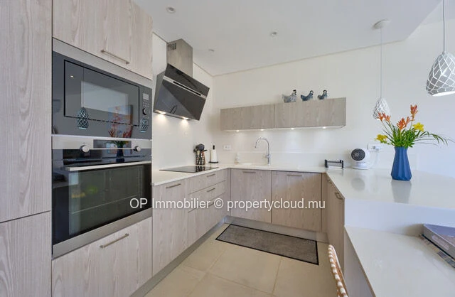 Modern 3-bedroom PDS villa in Grand Baie with private pool and garden
