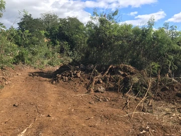 Residential Land