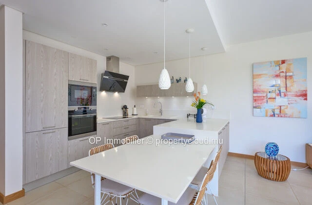Modern 3-bedroom PDS villa in Grand Baie with private pool and garden