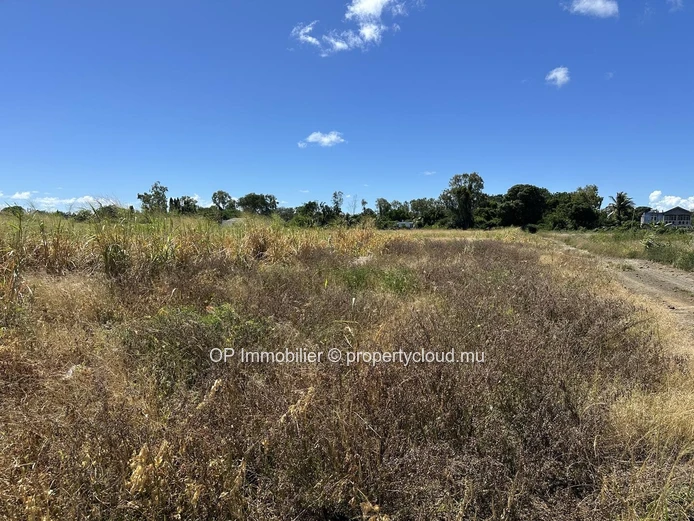 "Prime Building Land in Petit Raffray - 296m² Flat Plot for Sale! Rs - Don't Miss Out!"