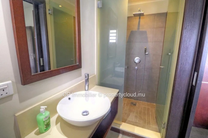 Penthouse for sale