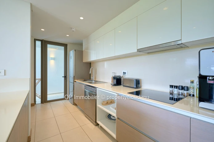 Luxurious PDS Apartment in Mon Choisy