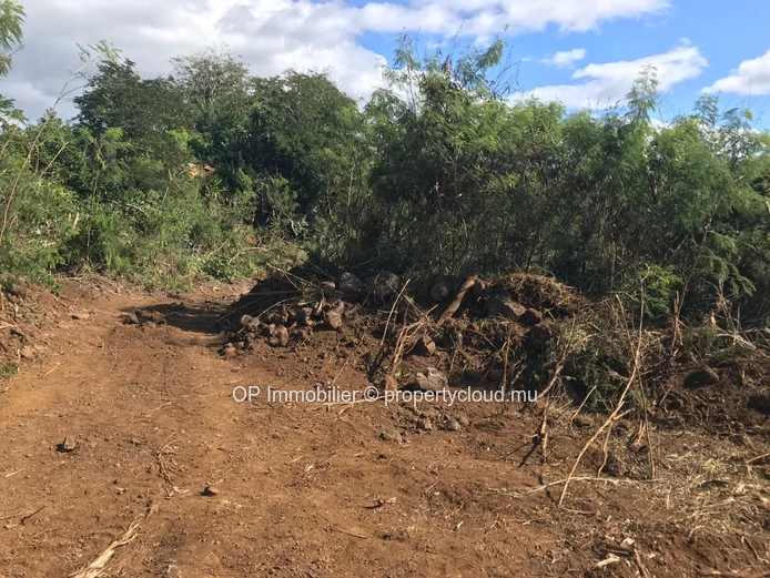 Land for sale