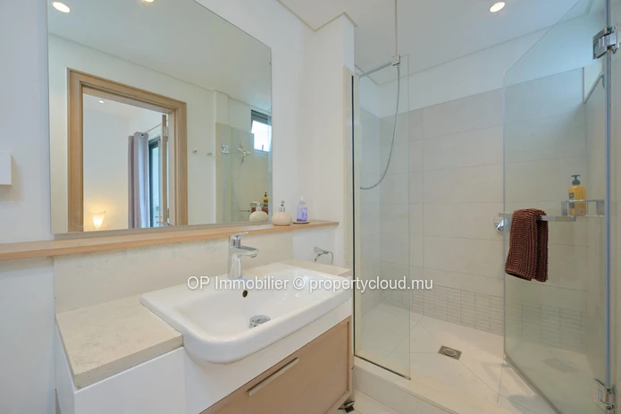 Luxurious PDS Apartment in Mon Choisy