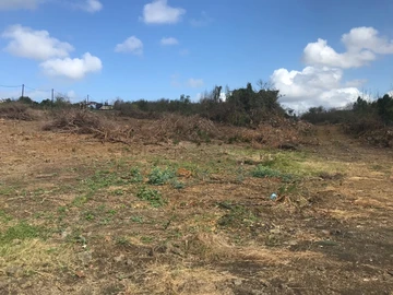 Residential Land